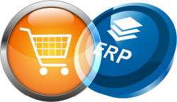 ERP mit Online-Shop